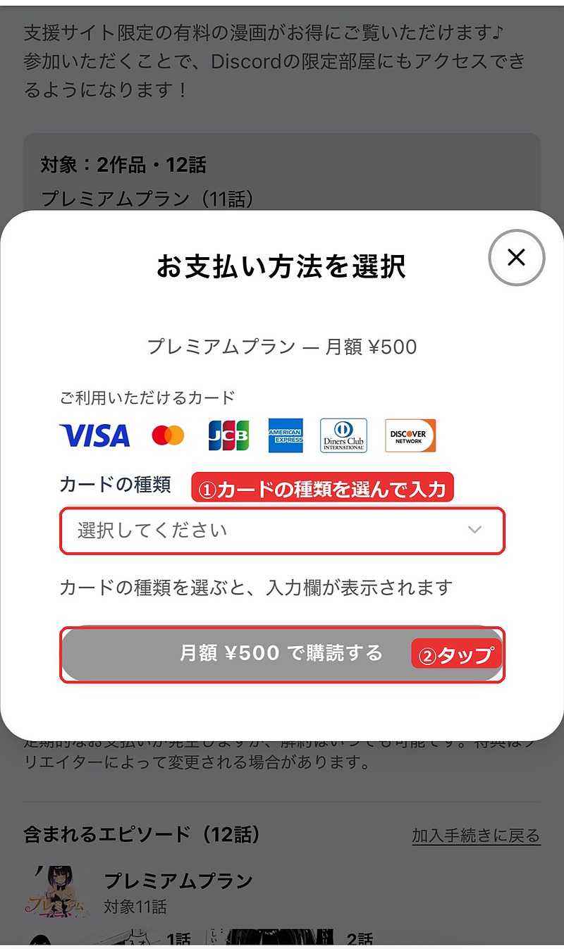 お支払い方法を選択。カードの種類を選んで入力し「月額 ¥500 で購読する」